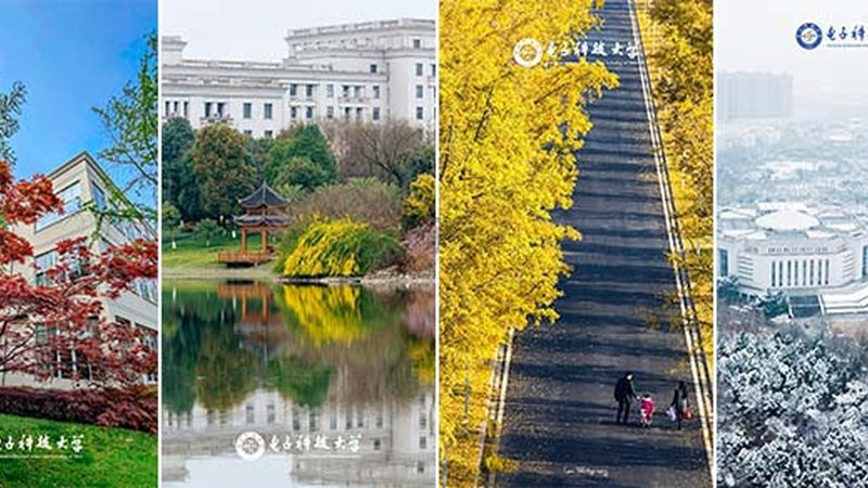 固态继电器和电磁继电器：揭秘两者间的本质区别